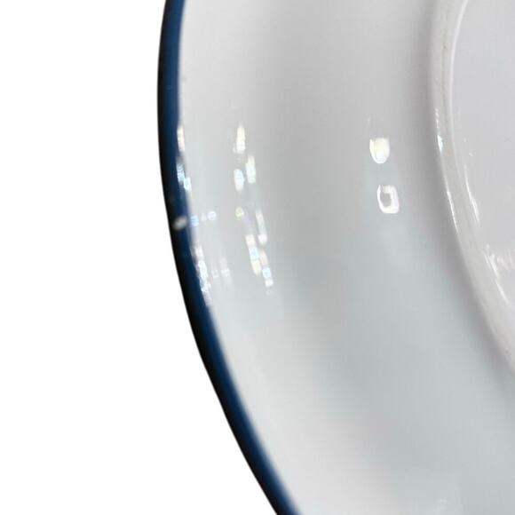 Black Forest Fruits Heritage Mint LTD 10.5" Dinner Plates-Set of 2 - Picture 4 of 6